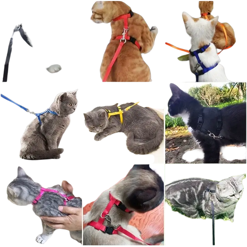 Adjustable nylon cat harness and leash set in black red blue yellow and pink for outdoor walking