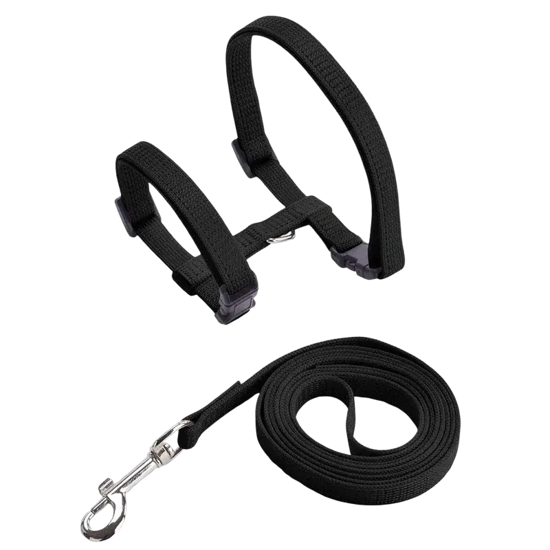 Adjustable nylon cat harness and leash set in black with plastic buckles and silver metal clasp for secure walking