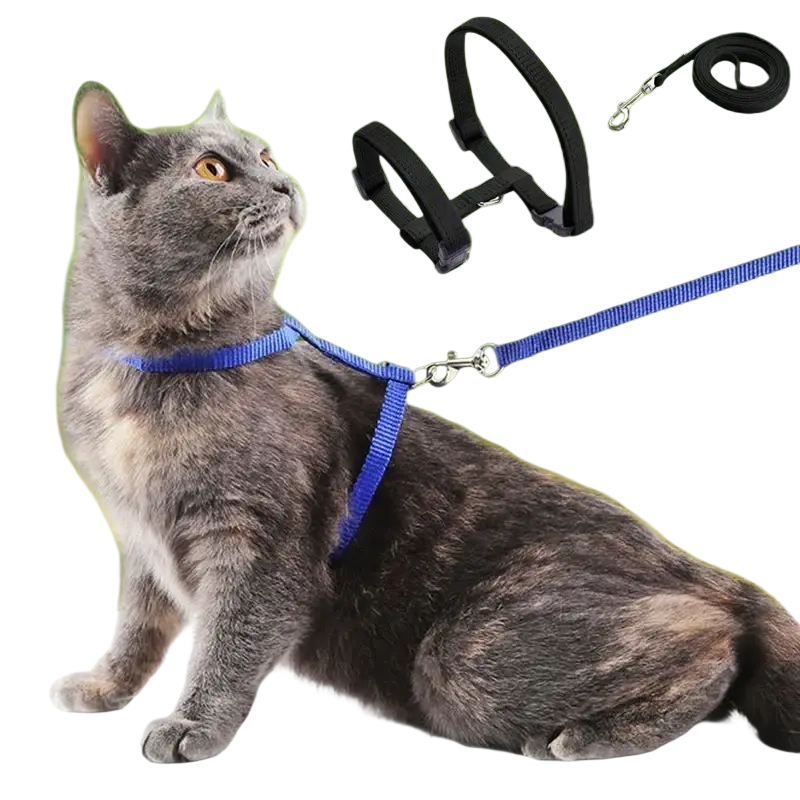 Adjustable nylon cat harness and leash set with blue woven strap black adjustable straps and metal hardware visible