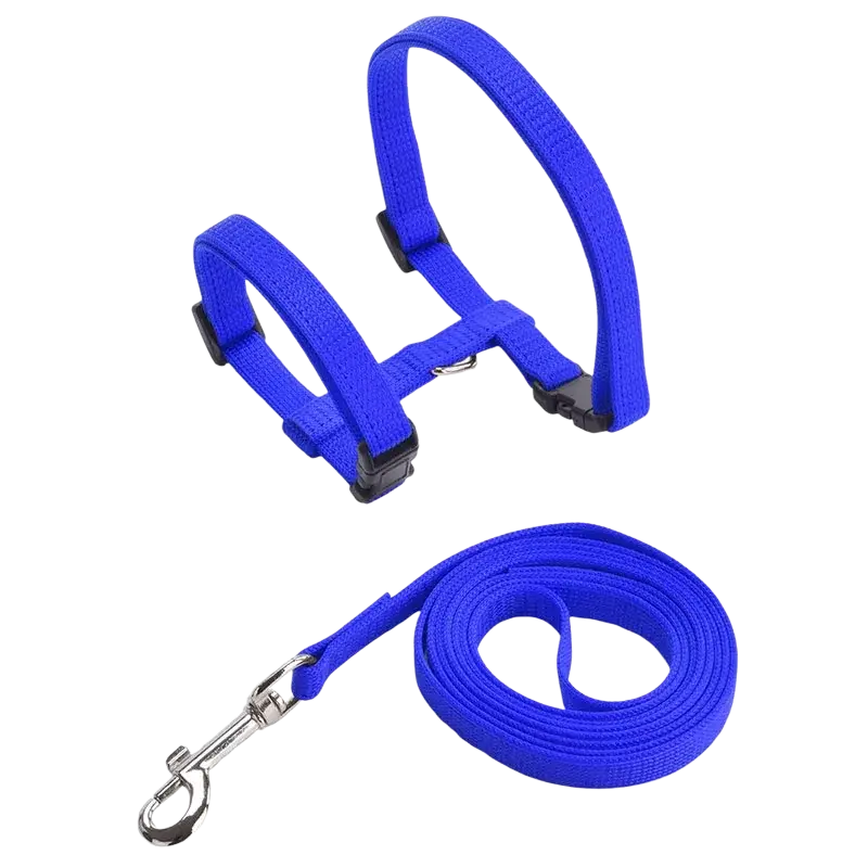 Adjustable nylon cat harness and leash set in bright blue woven fabric with black plastic buckles and silver metal clasp