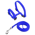 Adjustable nylon cat harness and leash set in bright blue woven fabric with black plastic buckles and silver metal clasp