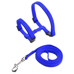 Adjustable nylon cat harness and leash set in bright blue woven fabric with black plastic buckles and silver metal clasp