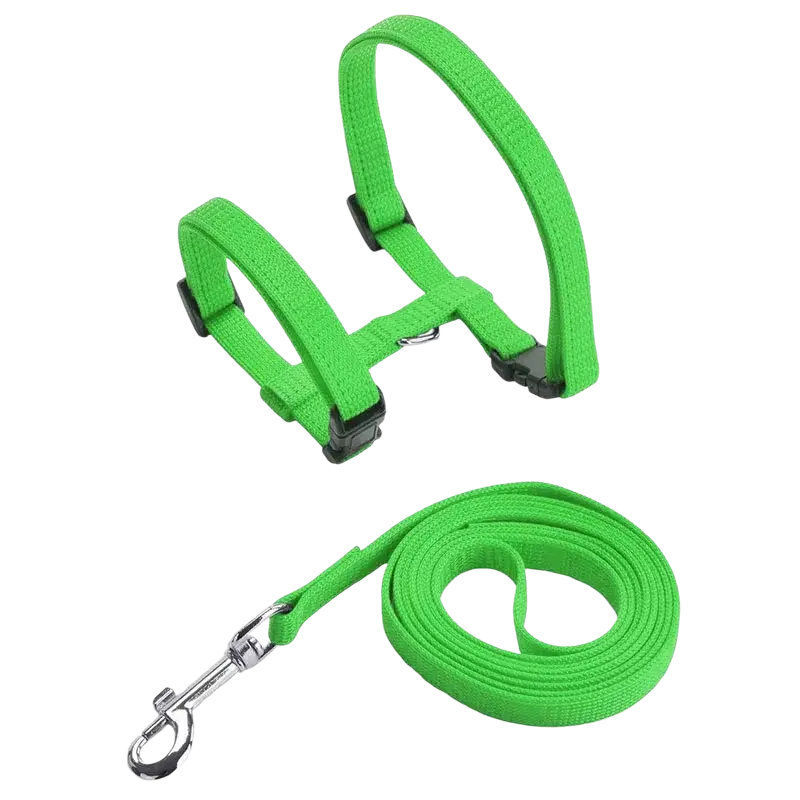 Adjustable nylon cat harness and leash set in bright green woven fabric with black buckles and silver metal clasp