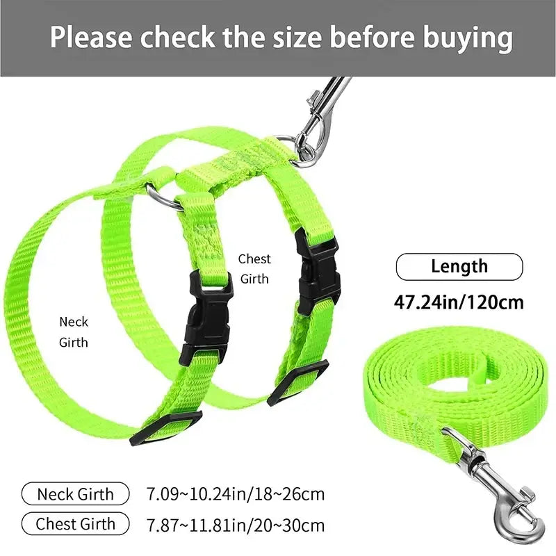 Adjustable nylon cat harness and leash set in bright neon green with black plastic buckles made of durable nylon
