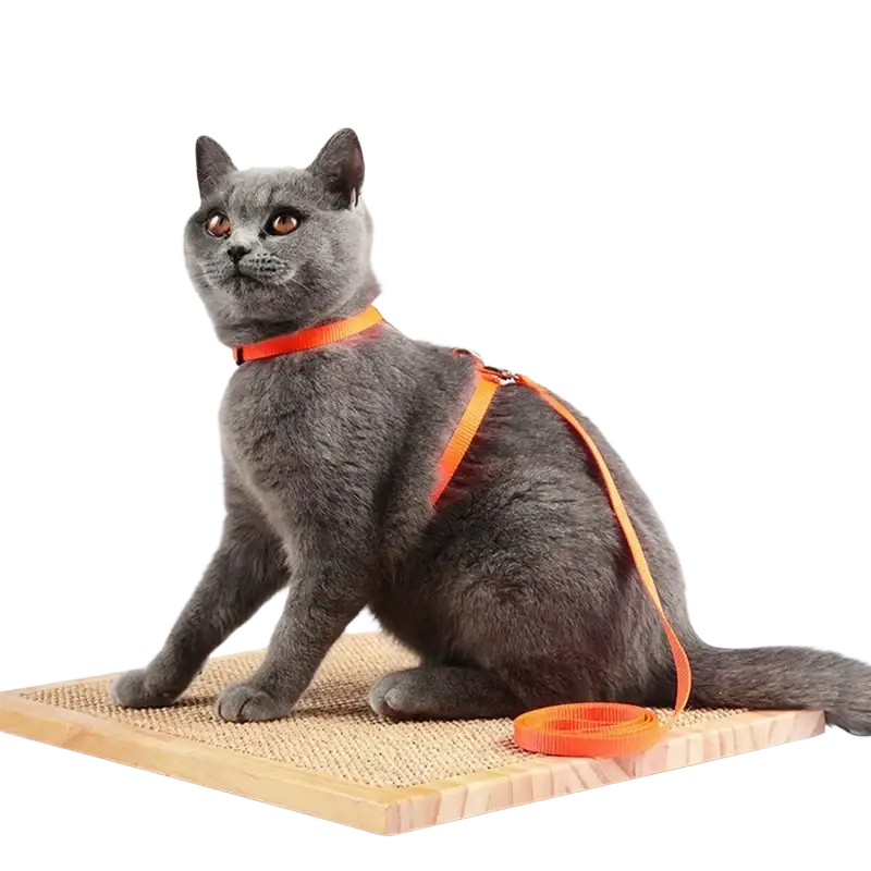 Adjustable nylon cat harness and leash set in orange with adjustable straps for secure and comfortable wear