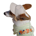 A beige adjustable sun proof pet hat with ear holes and buttoned front worn by a corgi