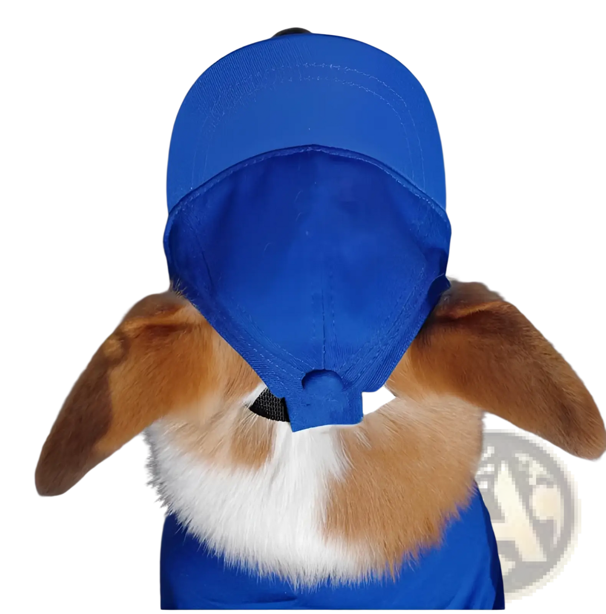 Blue adjustable sun proof pet hat with ear holes worn by rabbit for outdoor protection