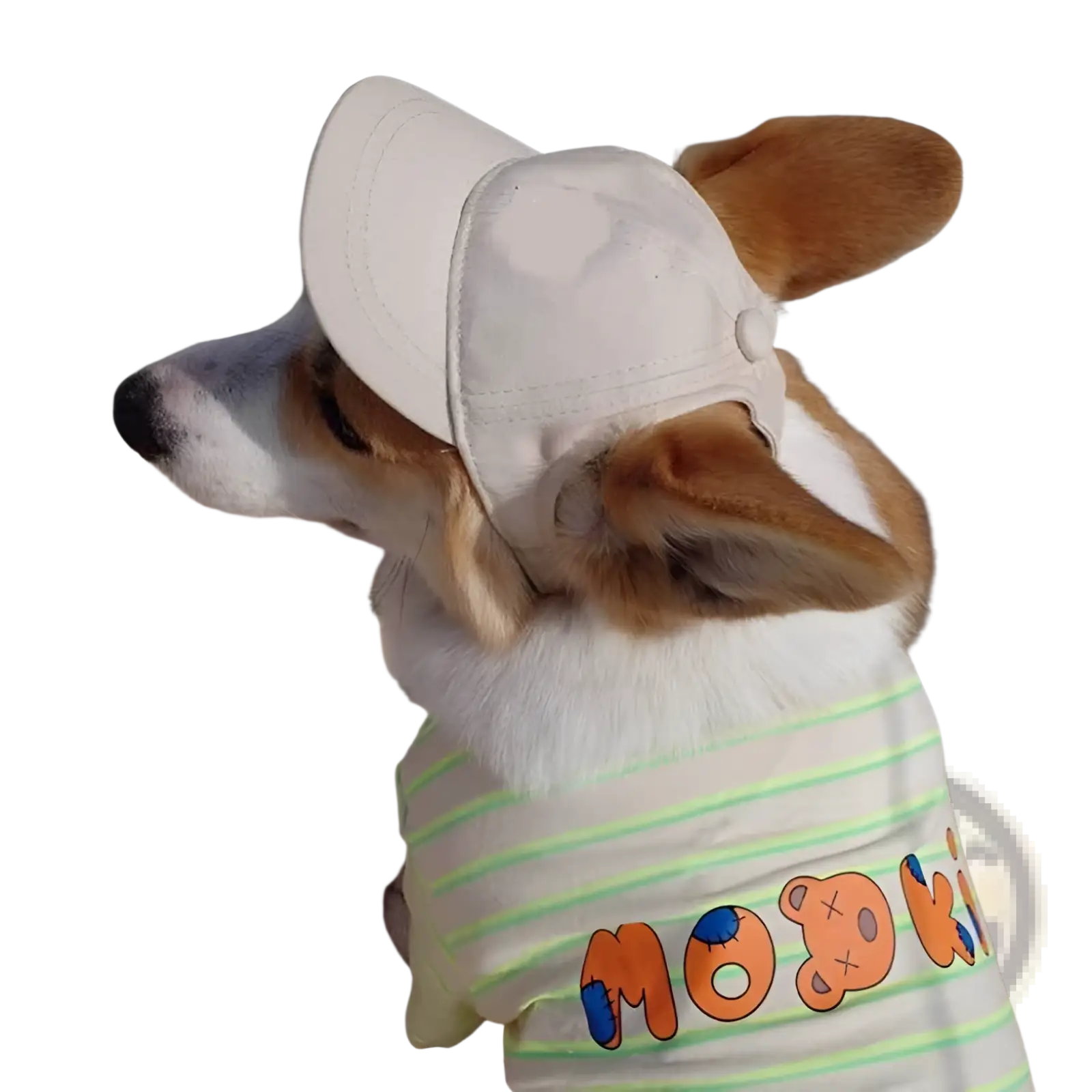 A beige adjustable sun proof pet hat with ear holes and a buttoned front worn by a corgi