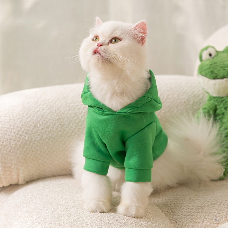 A fluffy white cat wearing a vibrant green hooded sweatshirt designed as a dinosaur cat hoodie plush pet costume.