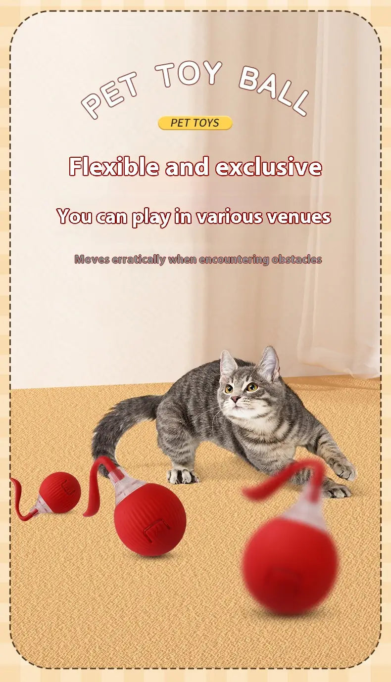 Interactive Cat Toy Ball Automatic Moving Roller Toy