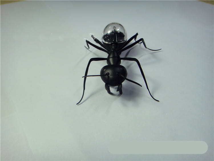 a black ant-shaped solar electronic robot toy for kids measuring 93mm with a transparent dome head