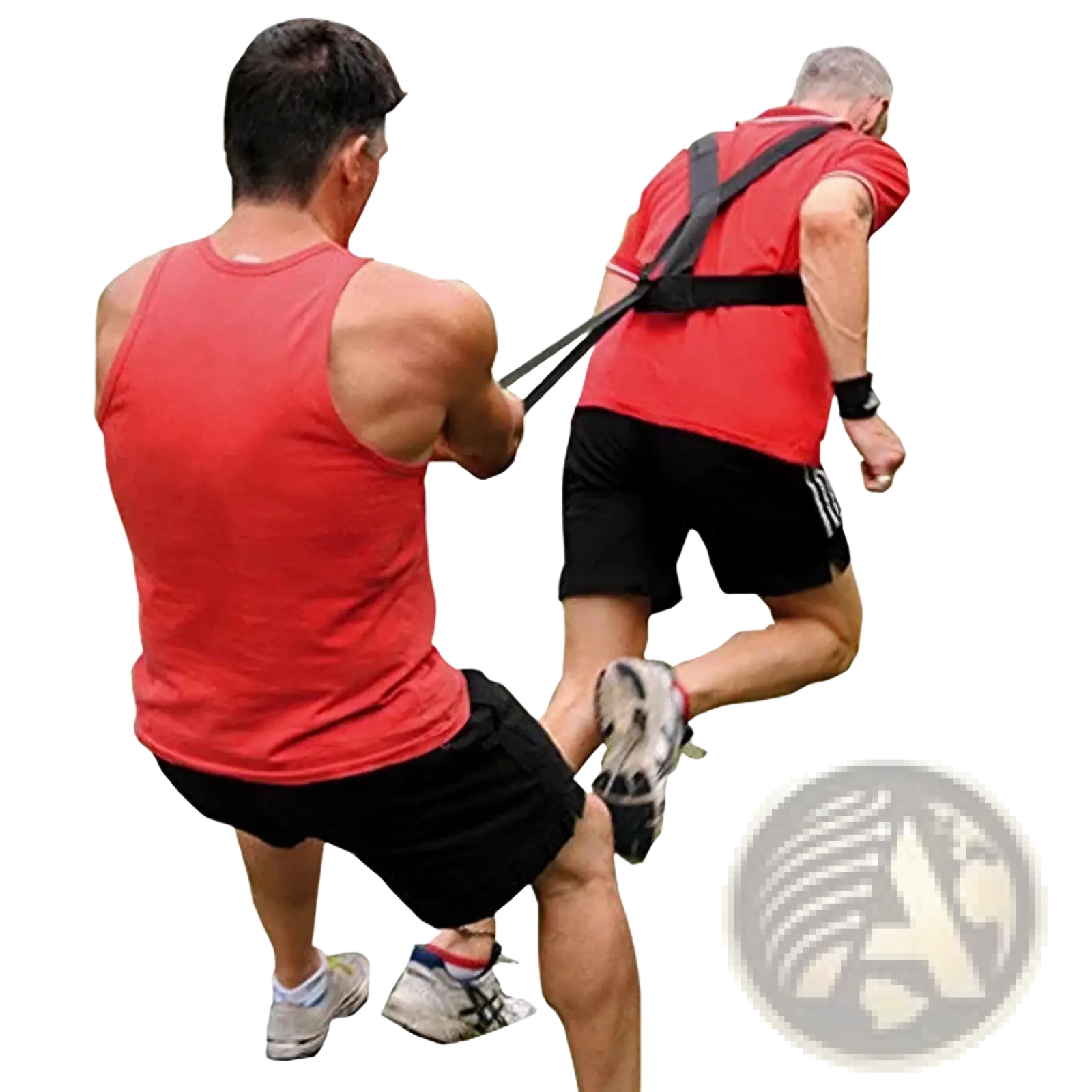 Black resistance band training harness made of durable material designed for agility training sled pull strap use