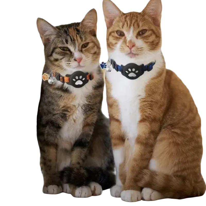 Airtag cat collar with bell and paw print charm featuring a black paw print design with blue and orange accents