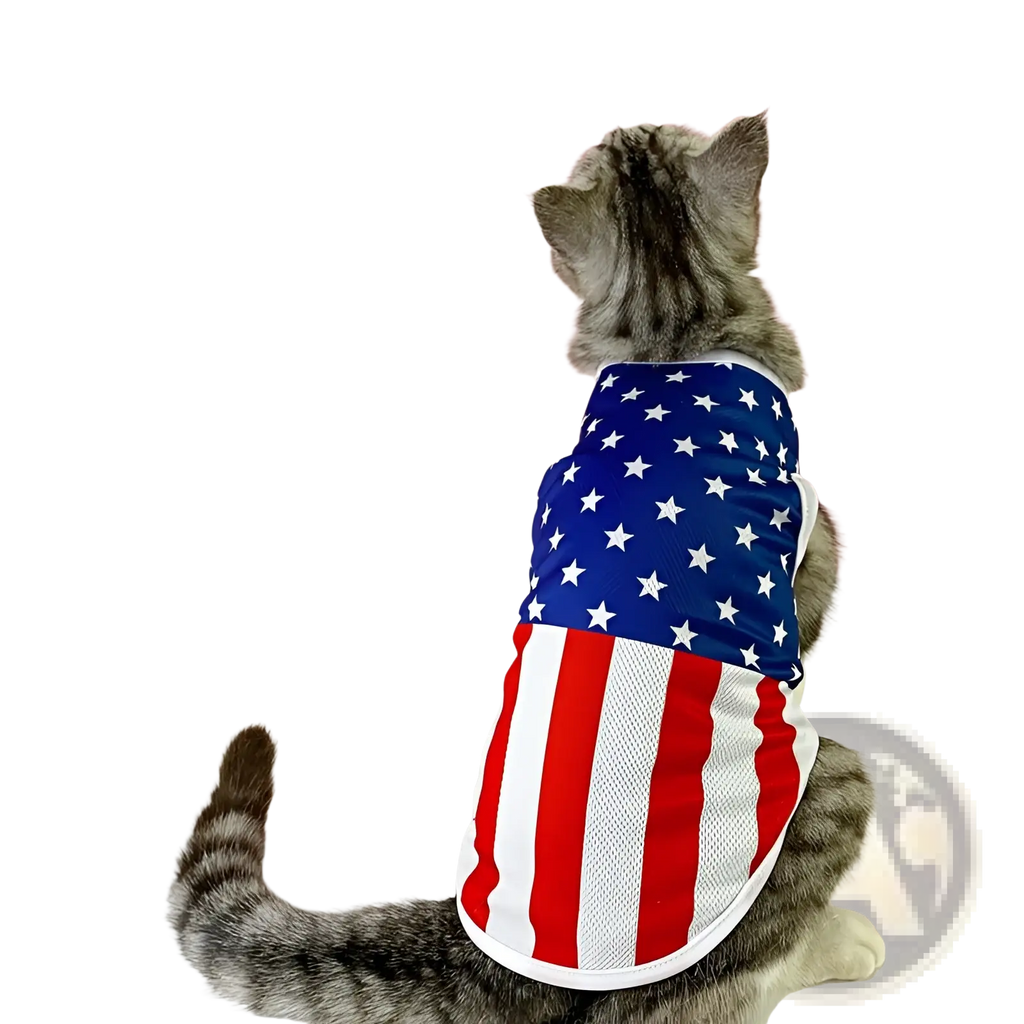 A gray tabby cat wearing a red white and blue american flag patterned mesh dog vest usa pet shirt