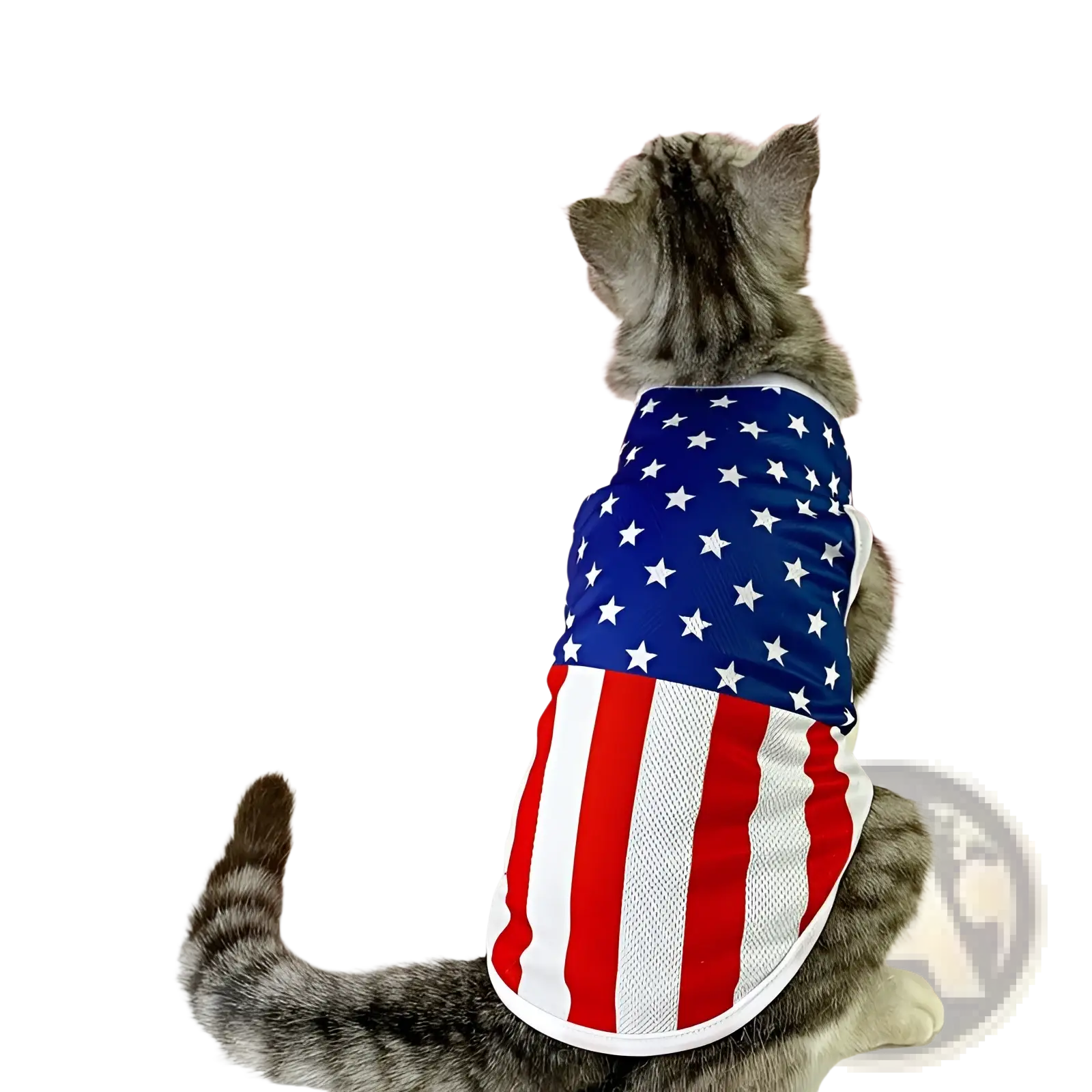 A gray tabby cat wearing a red white and blue american flag patterned mesh dog vest usa pet shirt