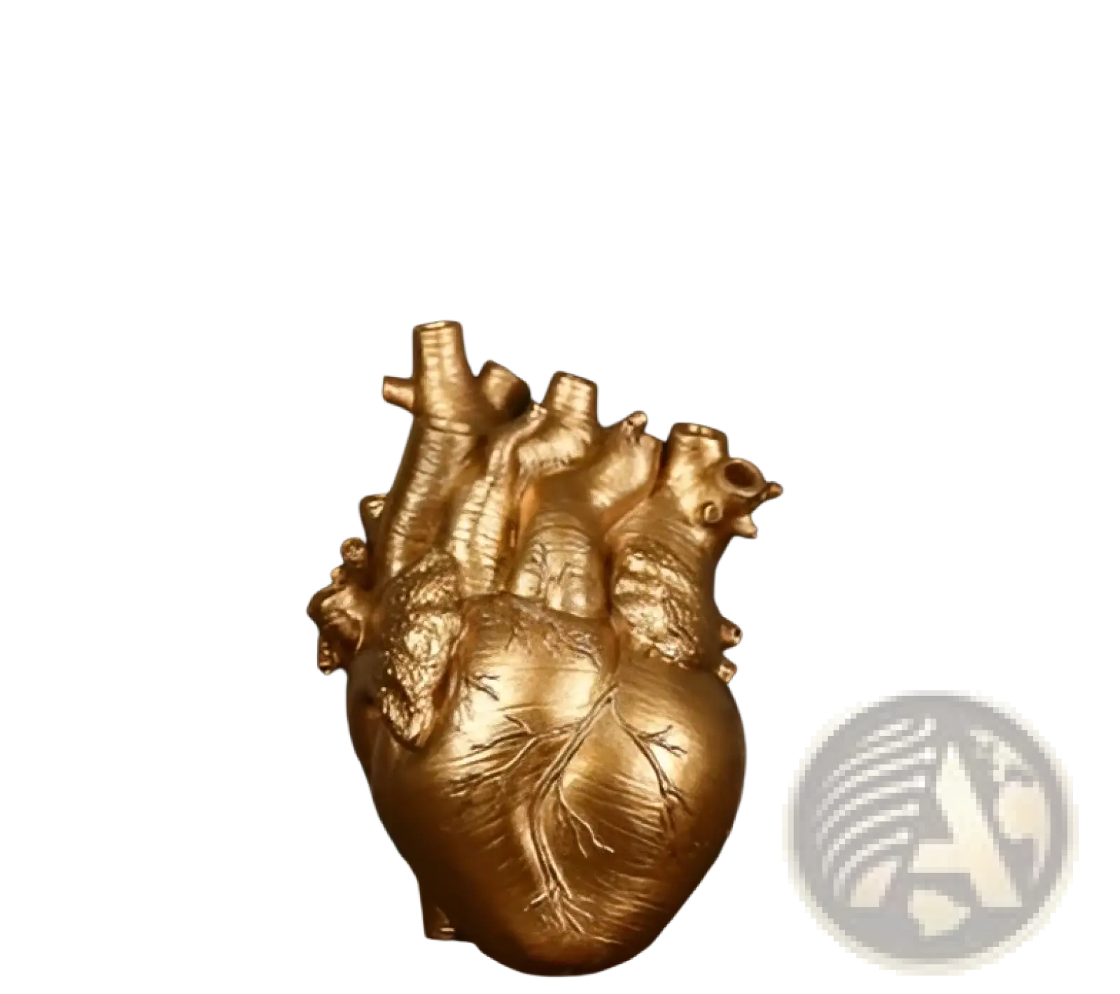 Golden anatomical heart resin sculpture 25cm tall with detailed veins used as a nordic flower vase pot