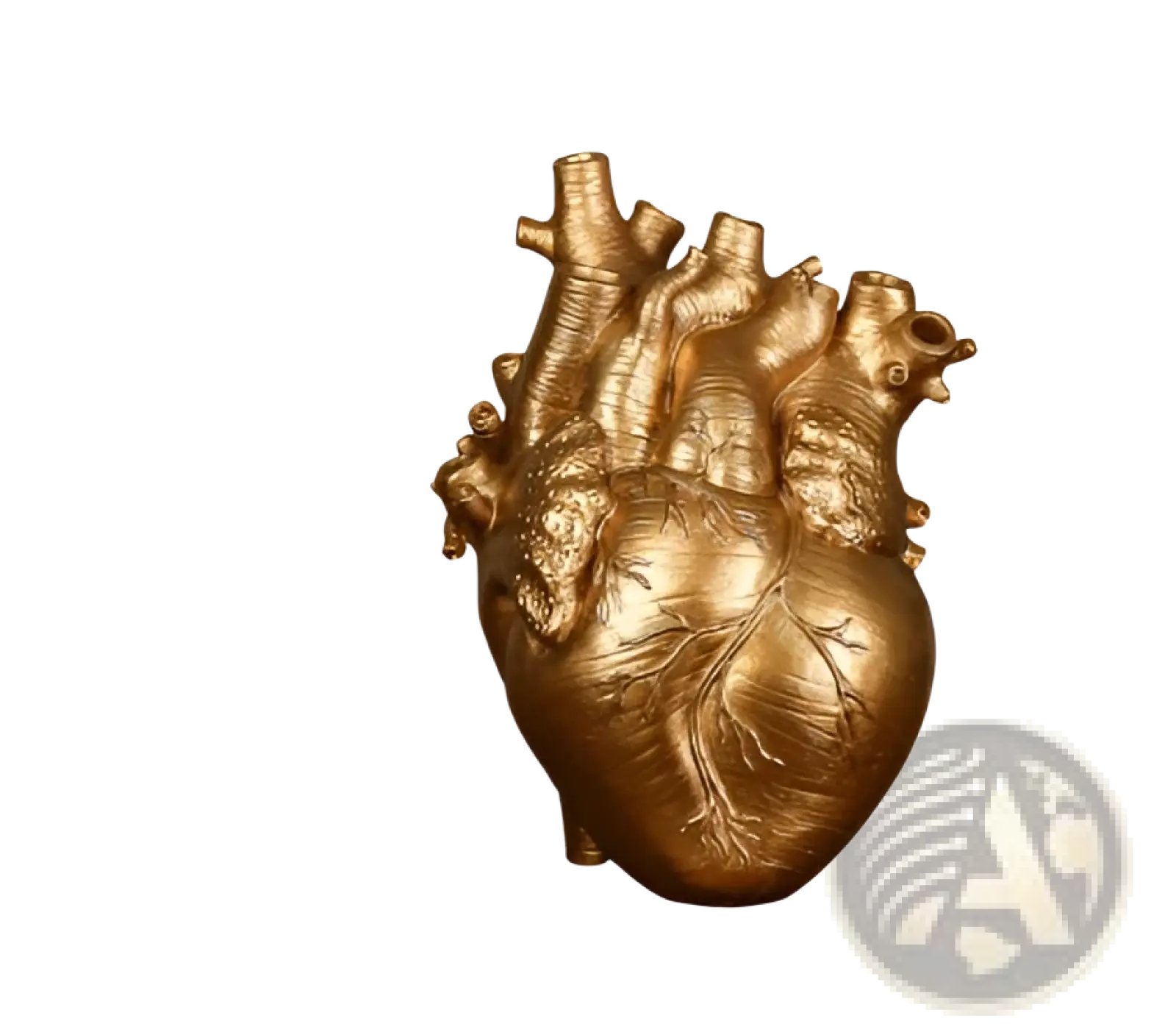 Golden anatomical heart vase resin sculpture with detailed vein and artery textures for nordic flower pot decor