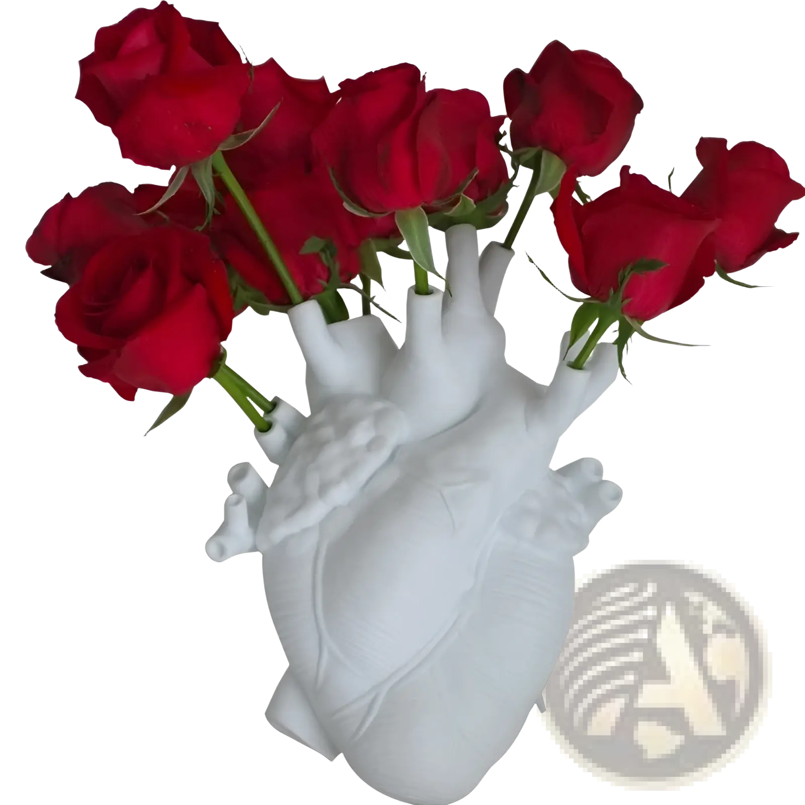 White anatomical heart vase made of Nordic resin holding vibrant red roses as a decorative flower pot