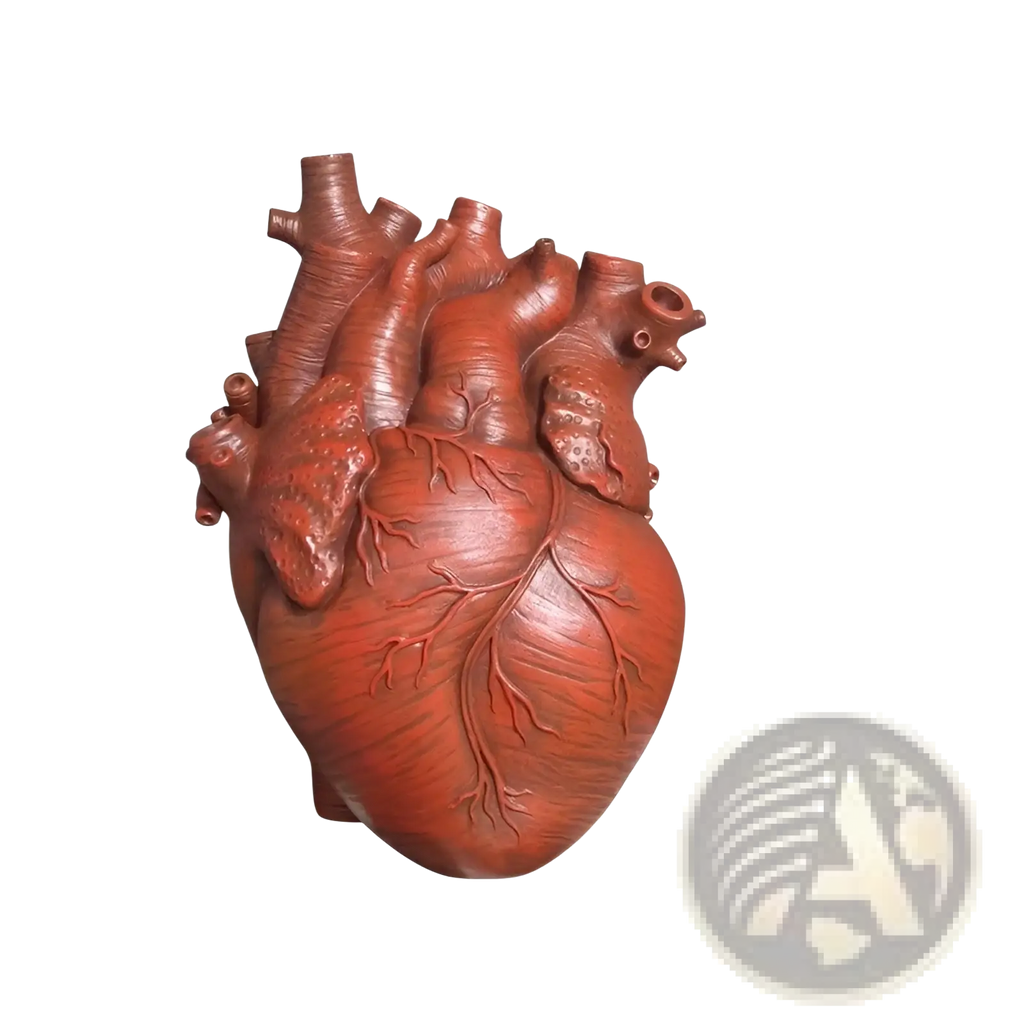 Red terracotta heart-shaped vase with detailed anatomical features Nordic resin sculpture flower pot design