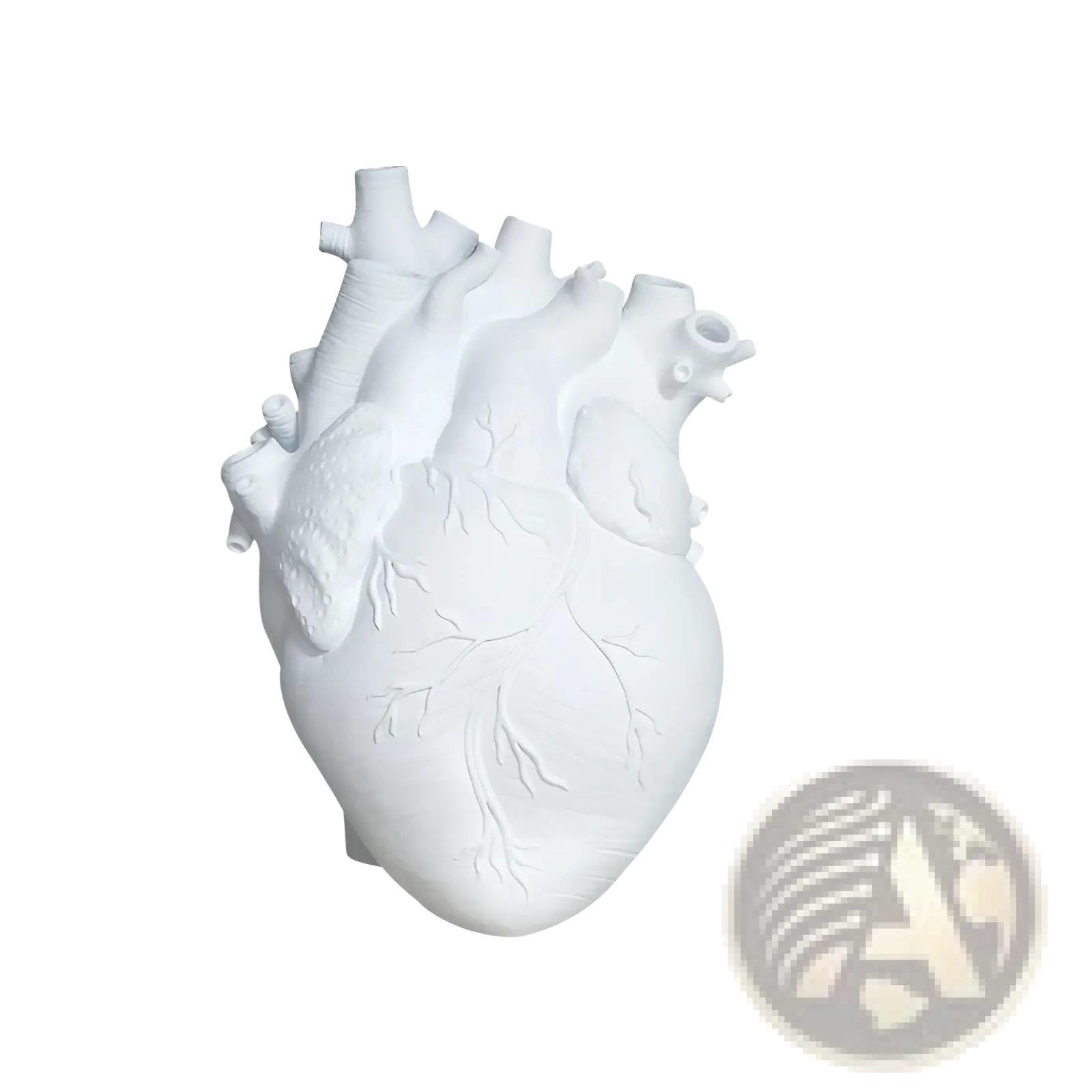 White anatomical heart vase made of nordic resin with detailed vein and artery contours for flower display
