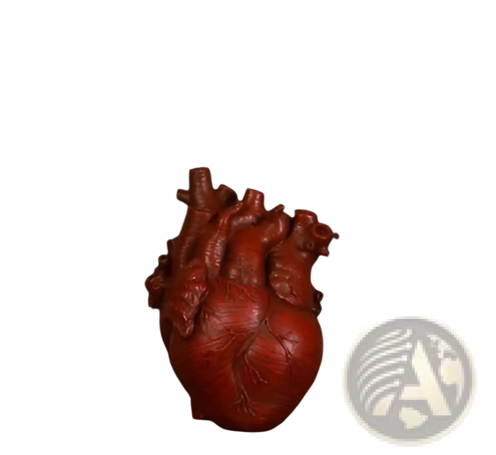 Reddish-brown nordic resin anatomical heart vase sculpture with detailed vein and artery textures flower pot