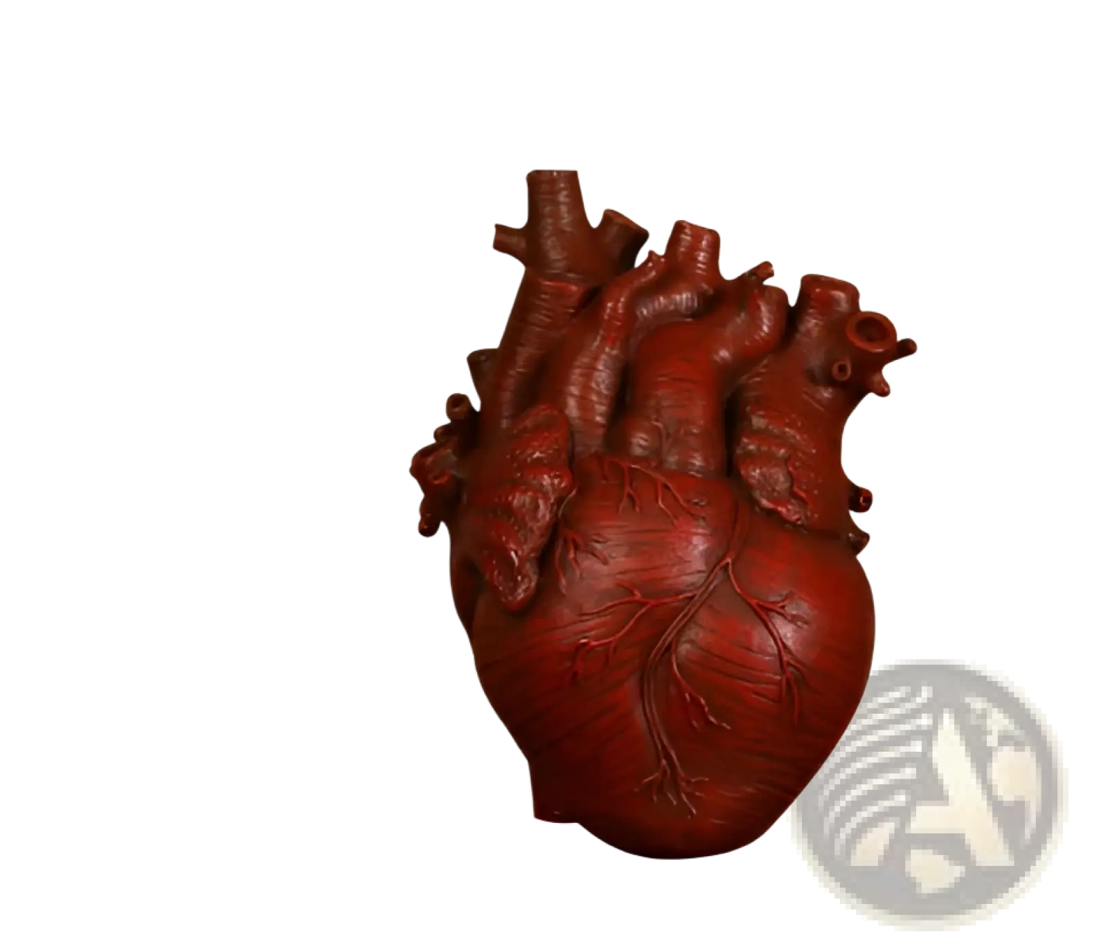 Red anatomically detailed heart-shaped resin sculpture used as a nordic flower pot vase