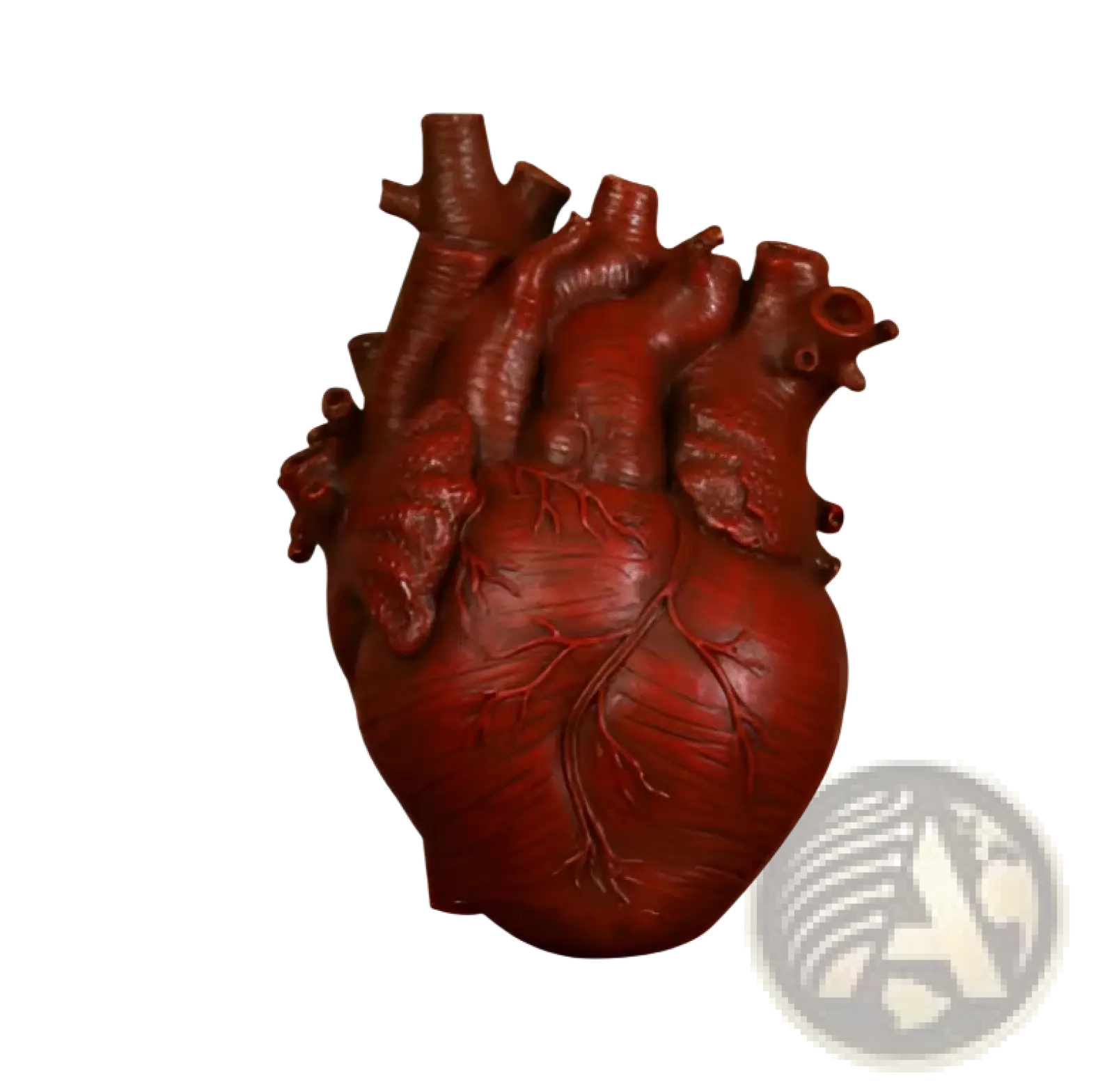 Red detailed anatomical heart vase made of Nordic resin sculpture used as a flower pot for home decor