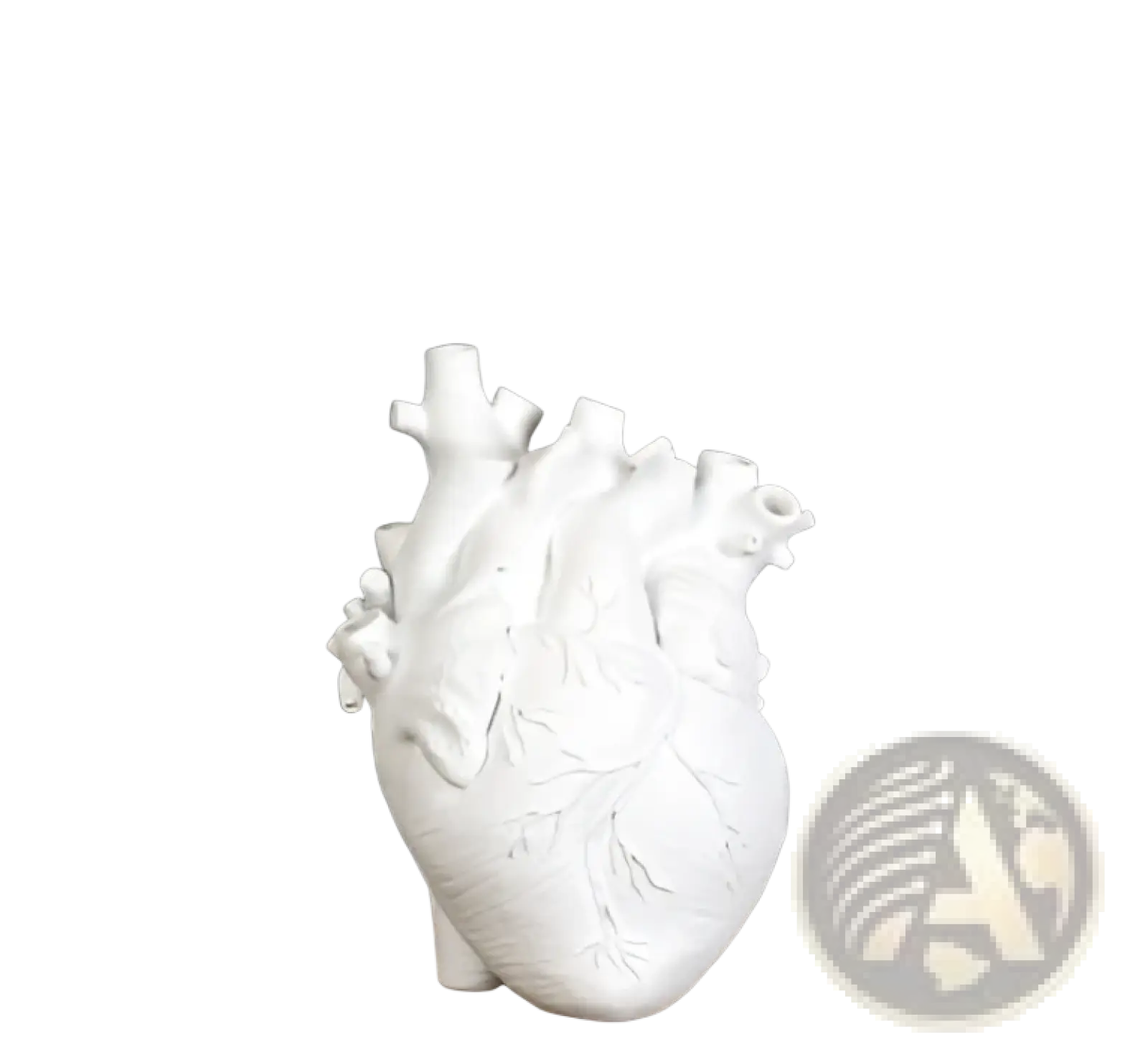 White ceramic anatomical heart vase sculpture 25cm tall with detailed vein and artery textures nordic resin flower pot