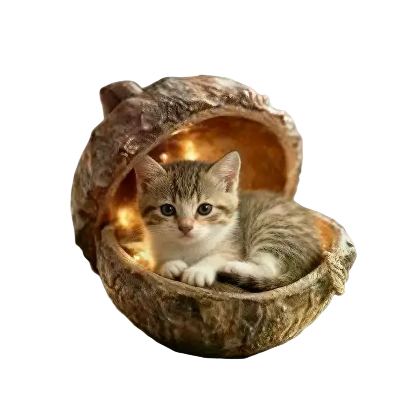 A cozy rustic walnut shell animal christmas ornament with a tiny brown and white tabby kitten for christmas tree decor