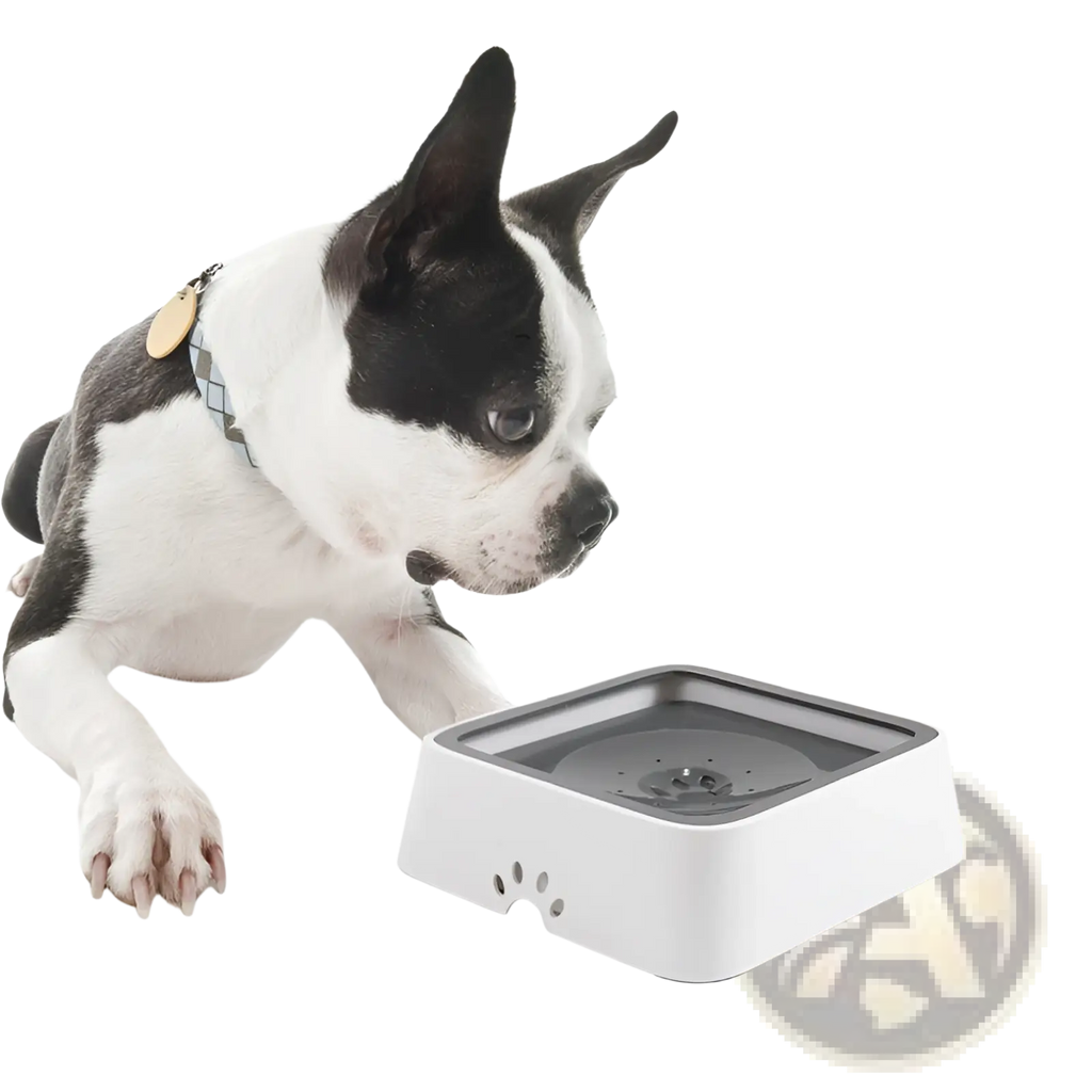 White and gray square pet water basin with paw print design featuring anti overflow and slow feeder 2l capacity