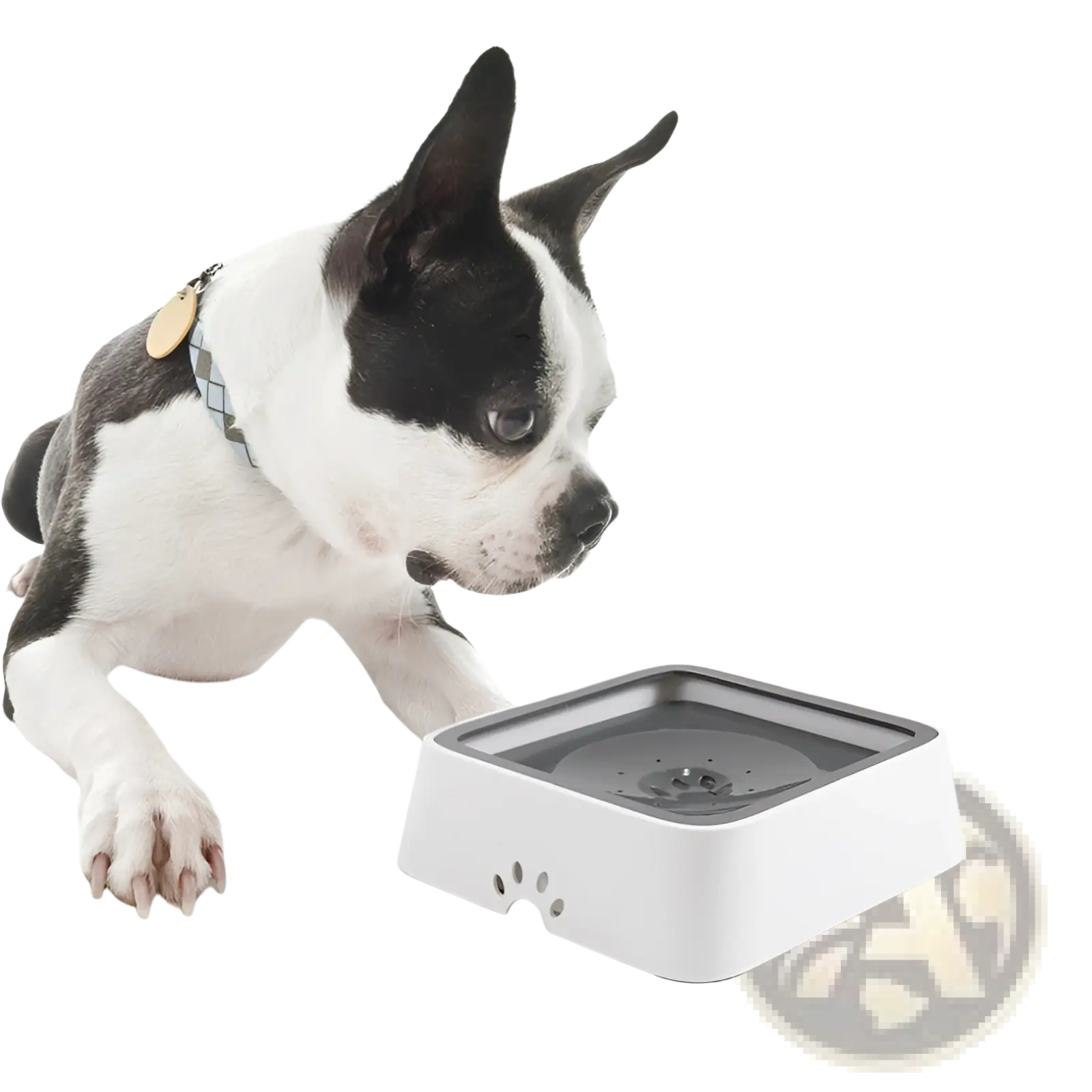 White and gray square pet water basin with paw print design featuring anti overflow and slow feeder 2l capacity