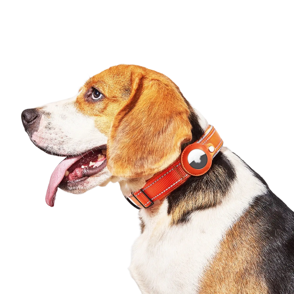 Orange leather dog collar with circular apple airtag tracker holder for secure pet identification and tracking