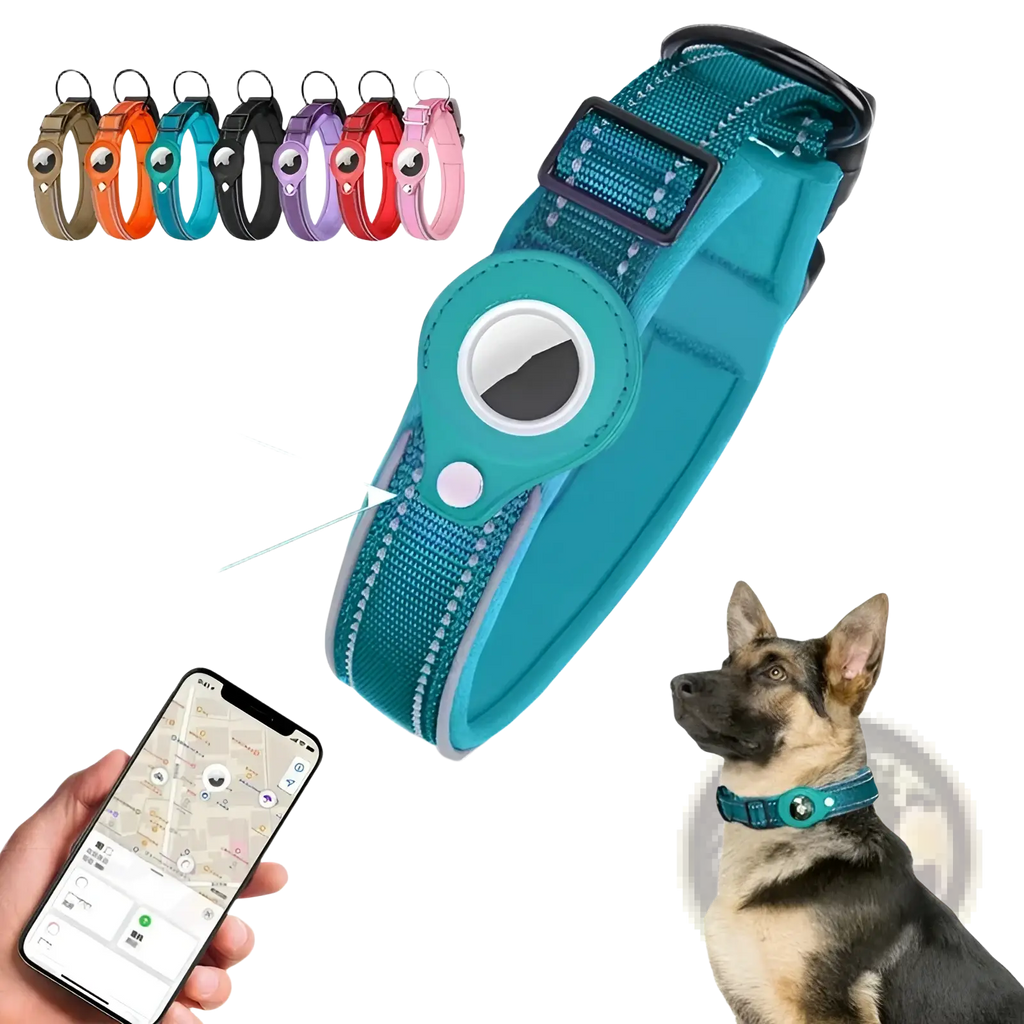 Teal reflective leather dog collar with adjustable buckle and circular Apple Airtag tracker holder attachment