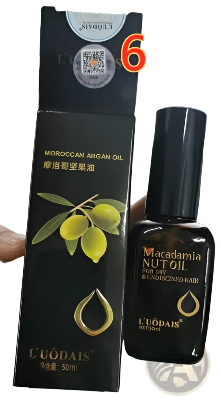 Black glass bottle of l’uodais moroccan argan oil 50ml with sleek black cap and gold droplet logo for dry damaged hair care