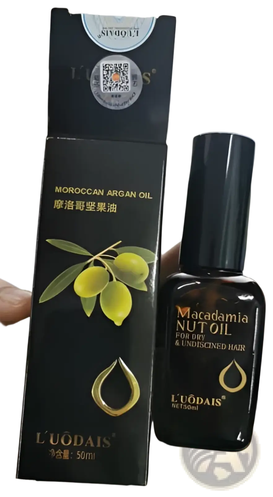 Black glass bottle of l’uodais Moroccan argan oil for dry and damaged hair 50ml for hair care use