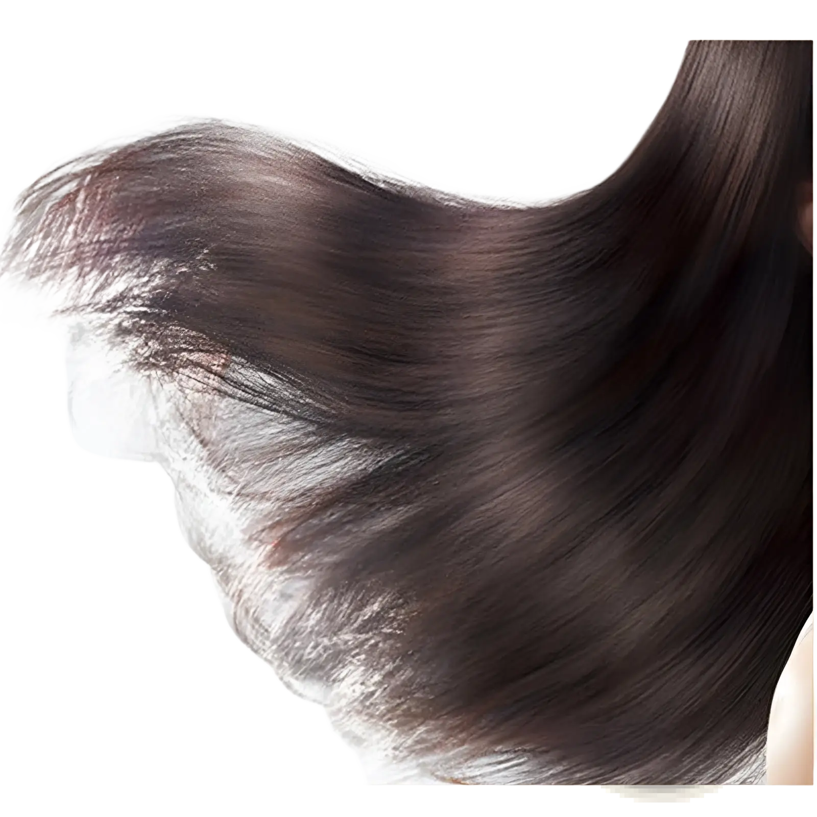 A sleek dark brown hair strand with smooth glossy texture showcasing argan oil hair care for dry damaged hair 50ml
