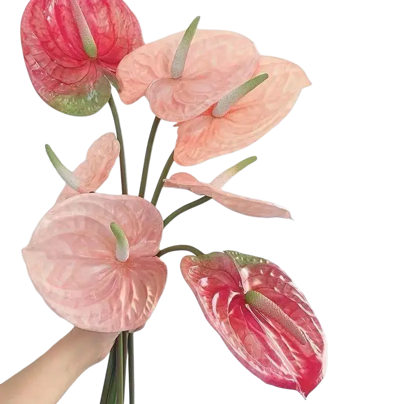 Artificial anthurium flower bouquet decorative plant with soft pink and vibrant red glossy petals and green spadix centers