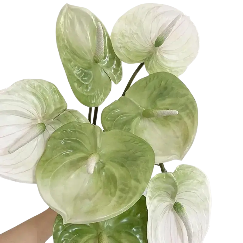 Artificial anthurium flower bouquet with glossy gradient green and white petals and textured central spadices decorative plant