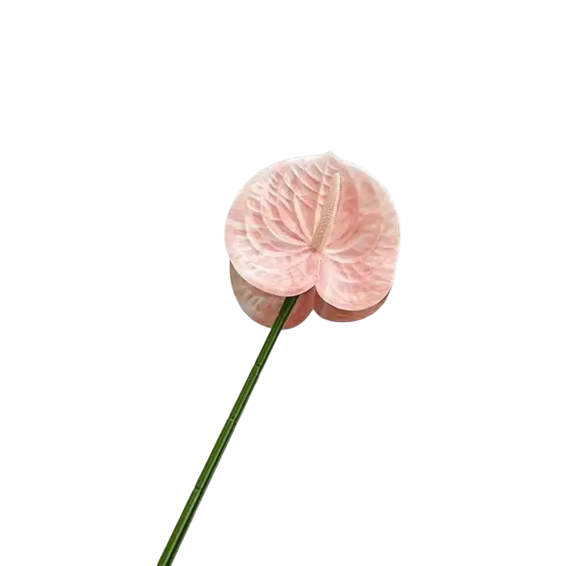 Artificial anthurium flower bouquet with a delicate pink glossy heart-shaped petal and slender green stem decorative plant