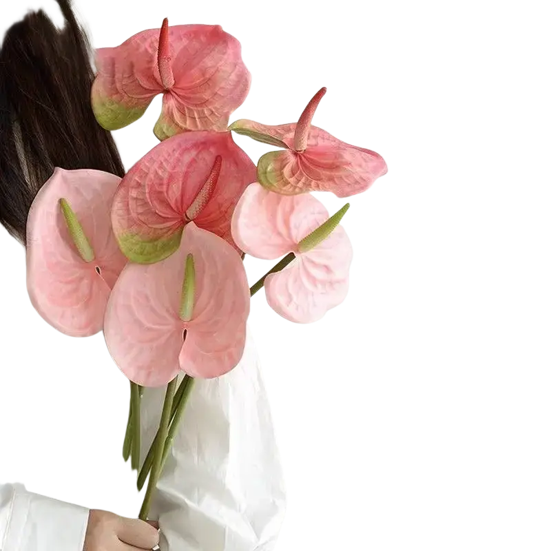 Artificial anthurium flower bouquet with soft pink flowers and green spathes held gently in a person’s arms