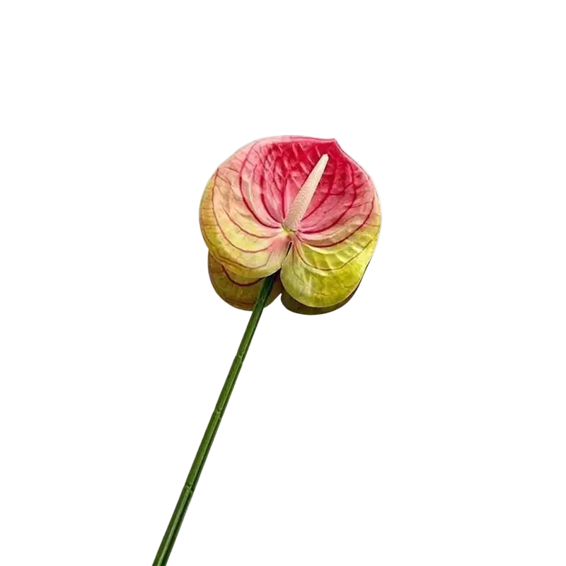 Artificial anthurium flower bouquet with vibrant pink and yellow gradient petals and green stem decorative plant