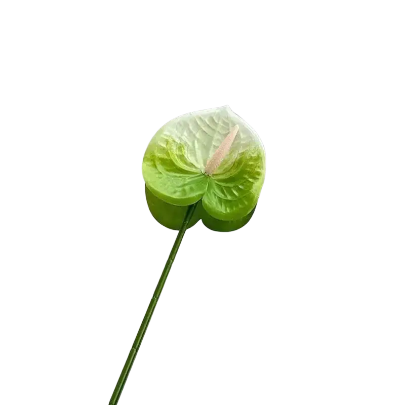 Artificial anthurium flower bouquet with vibrant green glossy heart-shaped petals and delicate white center decorative plant
