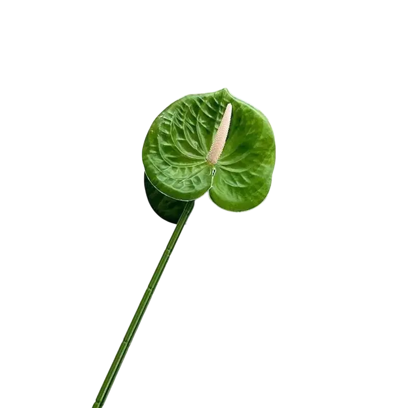 Artificial anthurium flower bouquet featuring a vibrant green flower with creamy white spadix and glossy leaves