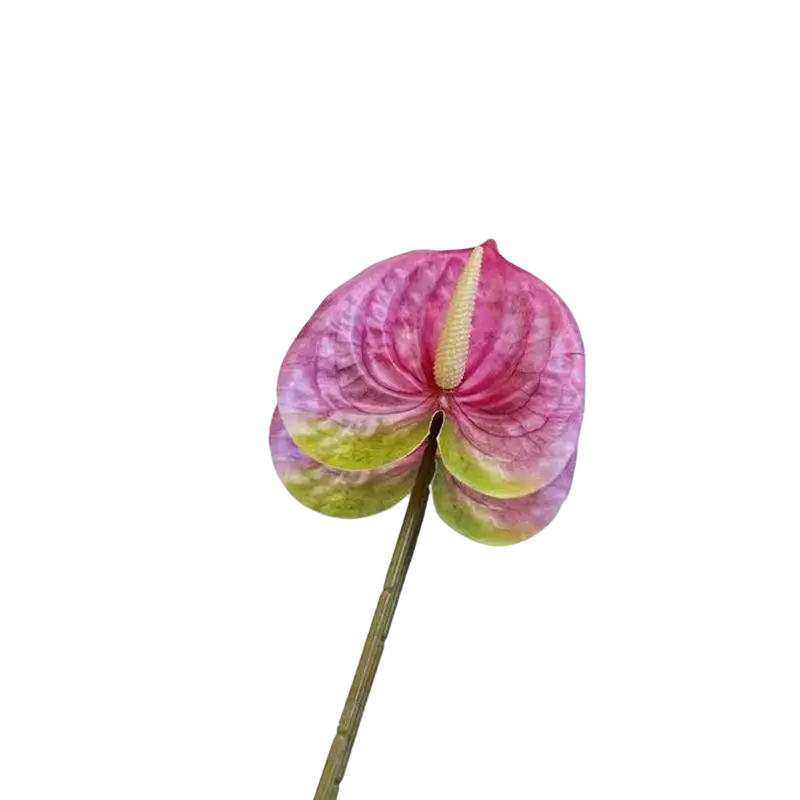 Artificial anthurium flower bouquet featuring vibrant pink and green petals with a yellow spadix on glass surface