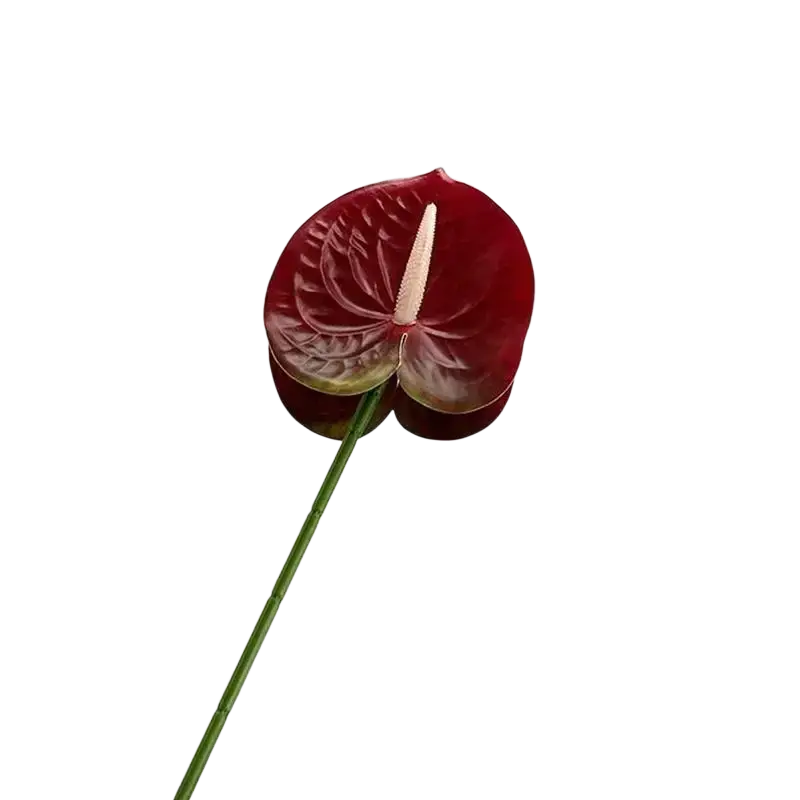 Artificial anthurium flower bouquet featuring a vibrant red glossy heart-shaped petal and pale pink spadix for decoration