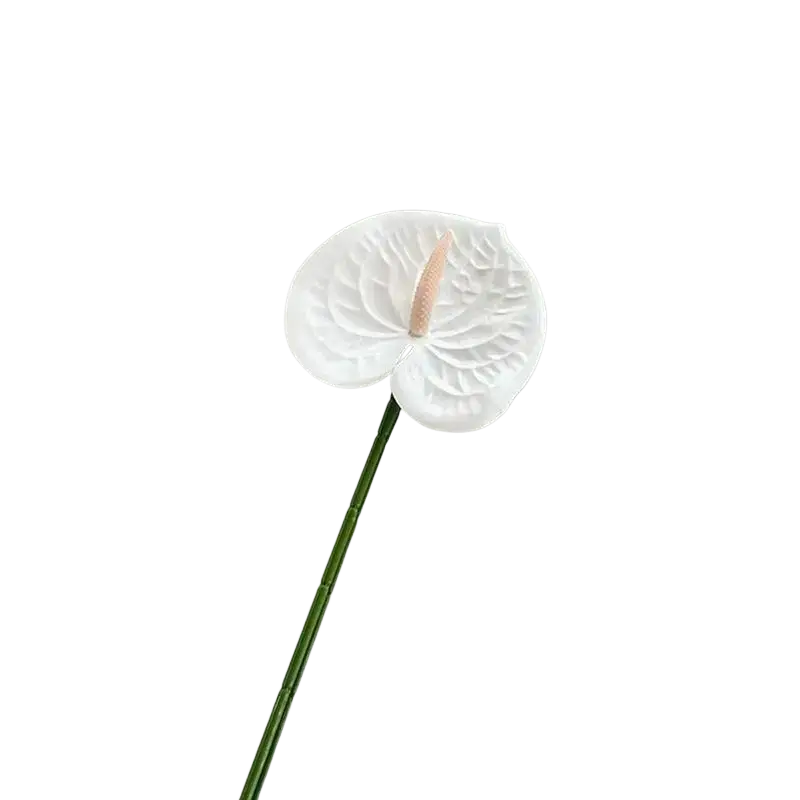 Artificial anthurium flower bouquet with white heart-shaped petals and pale pink spadix on slender green stem