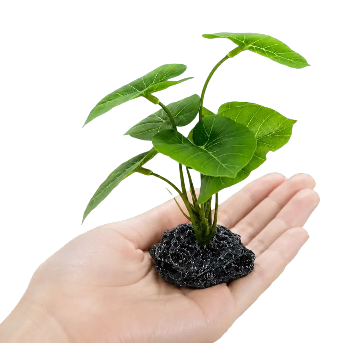 Artificial aquarium plant with broad green foliage rooted in black porous lava rock weighted base