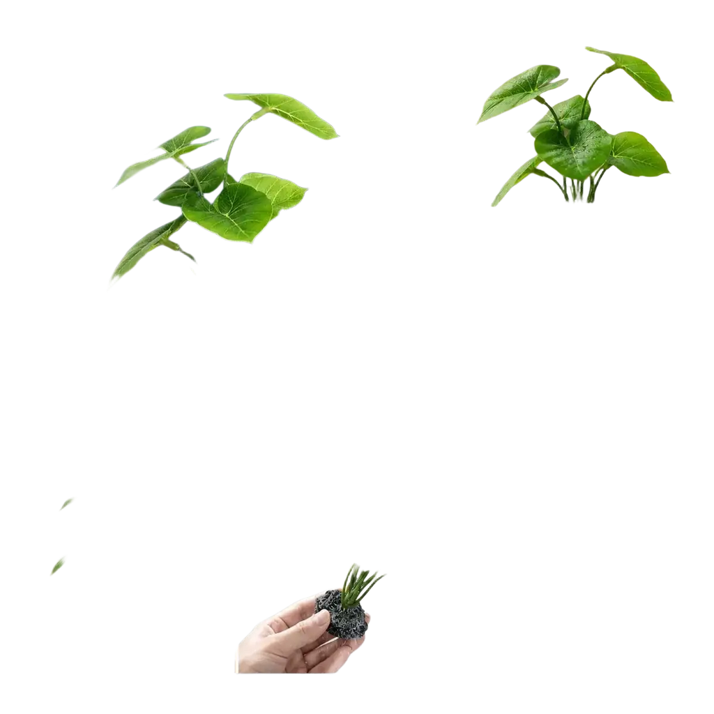 Artificial aquarium plant with green broad leaves and black porous weighted base for aquarium decoration