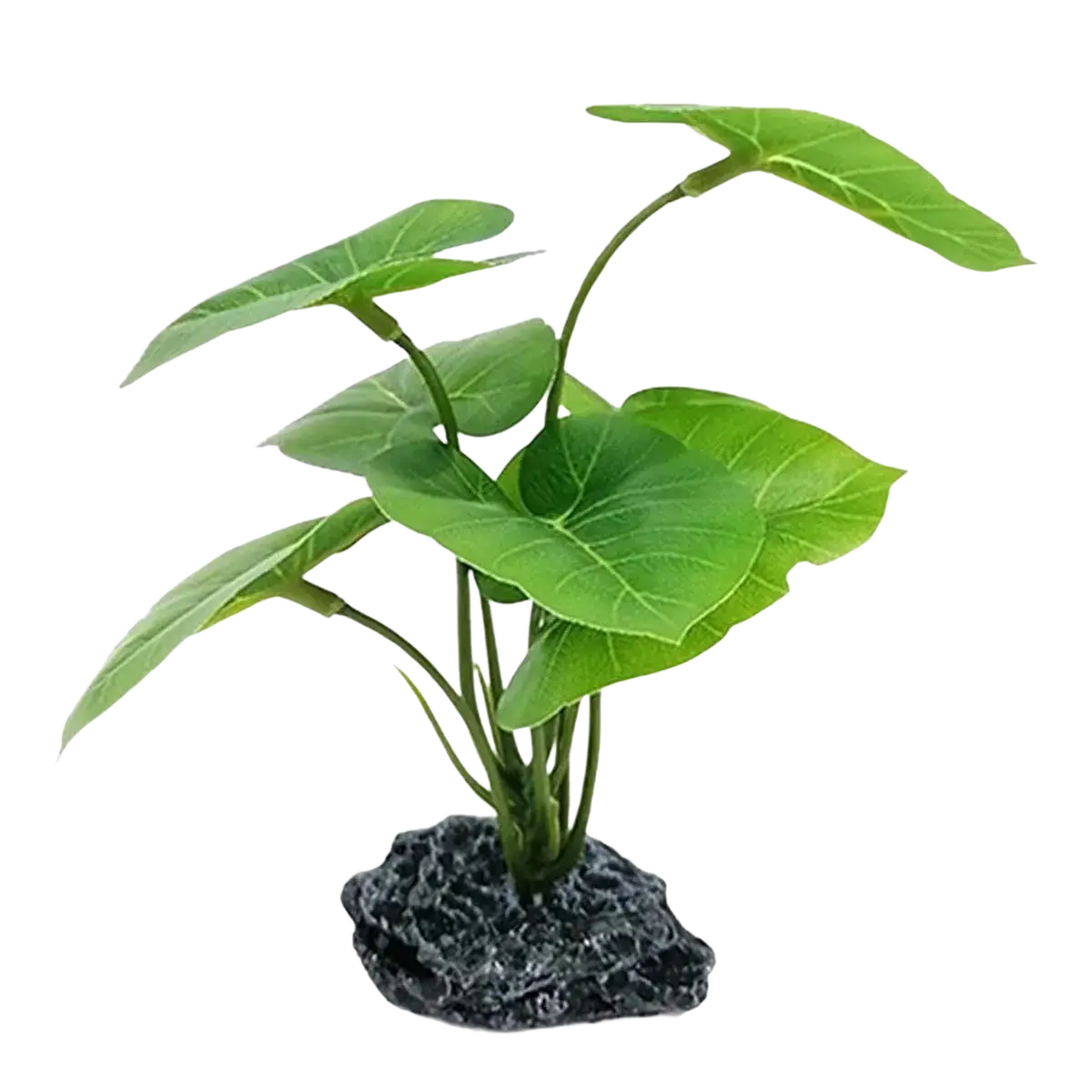 Artificial aquarium plant with broad glossy green leaves and a dark gray rocky weighted base for stability