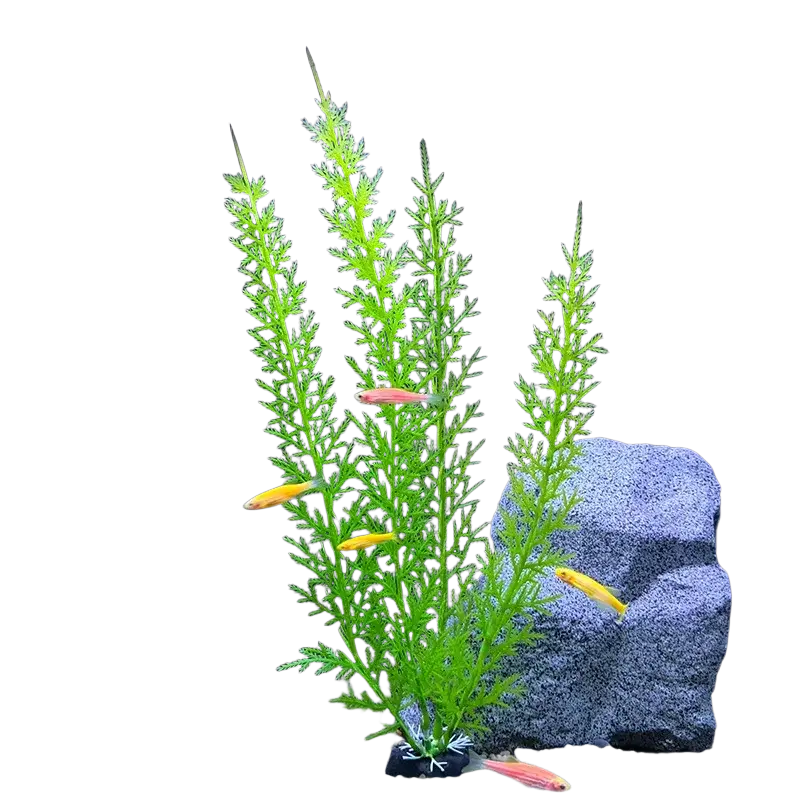 Vibrant green artificial aquarium plant with feathery fronds and black base safe for water quality use